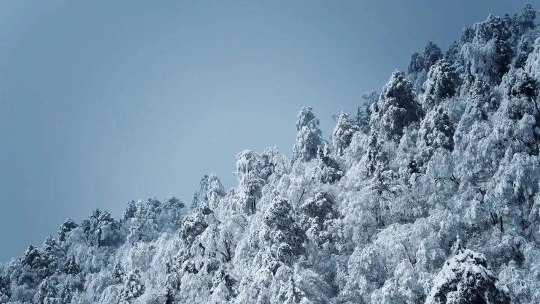 为什么我的笔记本电脑突然键盘不能用了- 专业问答网站